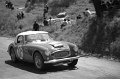 108 Austin Healey MK III  P.Hawkins - T.Makinen (31)